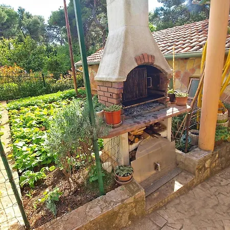 Fuer 4 Personen Ca 36 Qm In Pula, Istrien Istrische Riviera Apartment